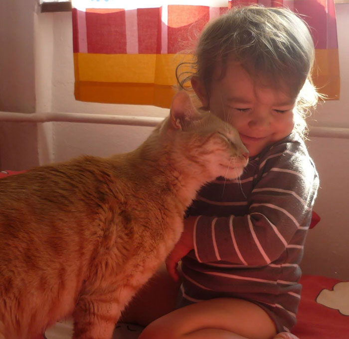 Calin bebe et chat